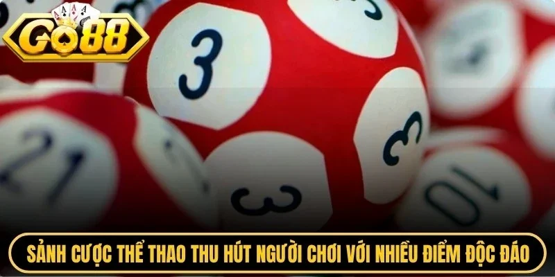 Sảnh cược thể thao thu hút người chơi với nhiều điểm độc đáo